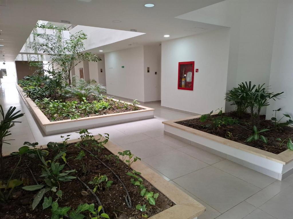 Jardin de l'établissement Baia Kristal - Vacaciones Cartagena Colombia