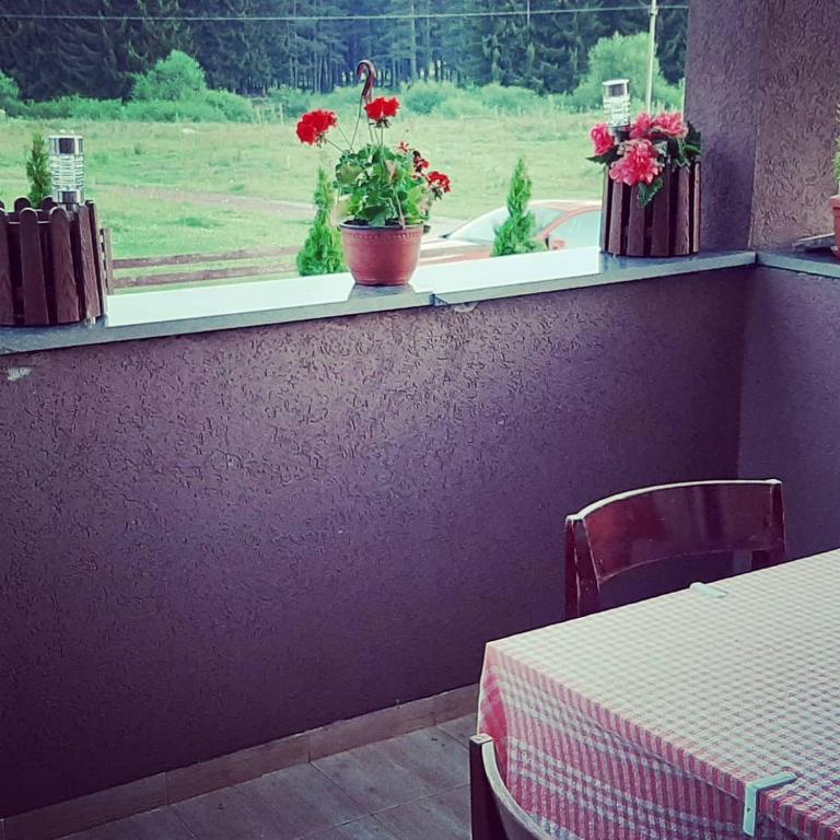PRENOCISTE MELINA-sobe-mir u borovoj sumi-komfor-kapacitet 7 osoba - Apartamento - Planta Baja