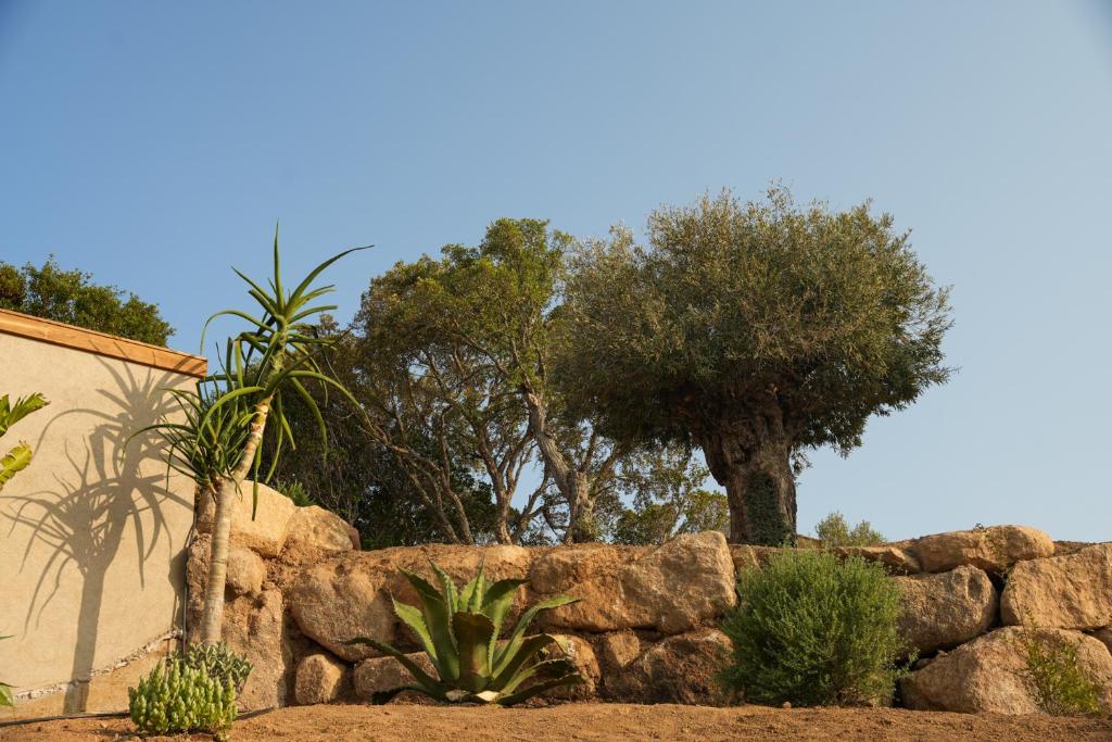 Jardin de l'établissement Bergerie entre plage et maquis