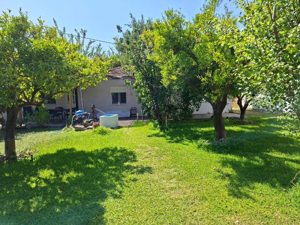 A garden outside SOFIA'S HOUSE