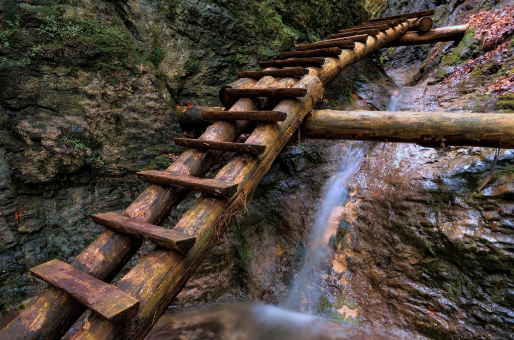 Paesaggio naturale nelle vicinanze dell'affittacamere