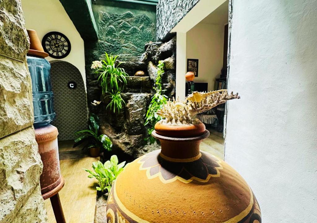 Zahrada ubytování Sandakada Homestay
