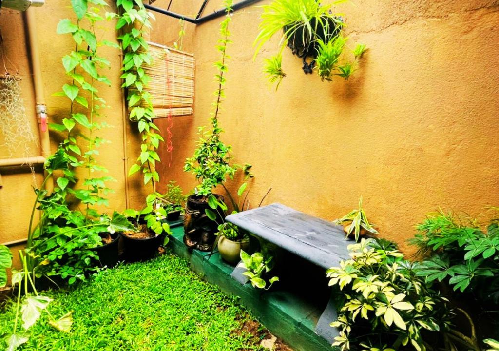 Zahrada ubytování Sandakada Homestay