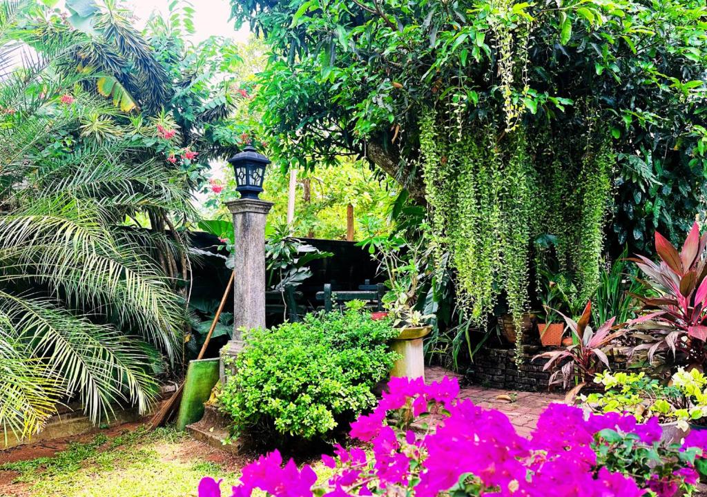 Zahrada ubytování Sandakada Homestay