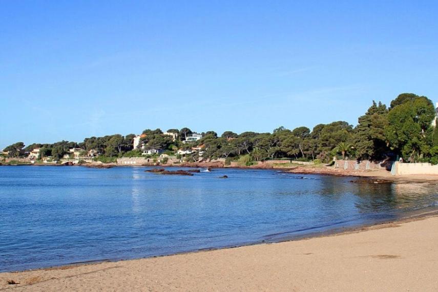 une masse d'eau avec une plage et des arbres dans l'établissement Appartement 4 pers Front de Mer - 10m de la Plage, à Saint-Raphaël