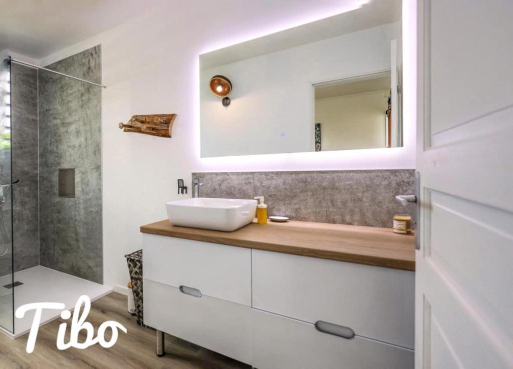 Salle de bains dans l'établissement Haut de villa BEL BO & Bas de villa Tibo accès mer