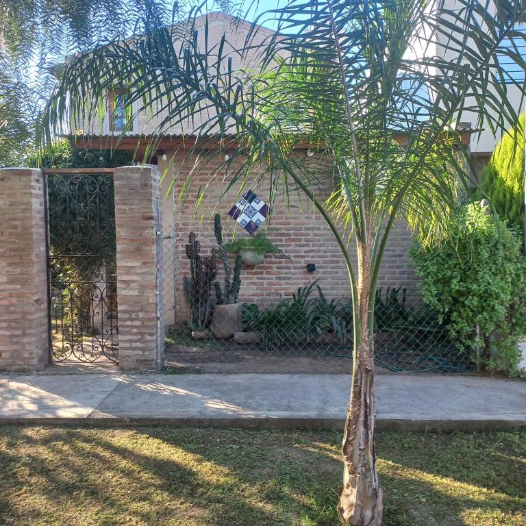 a palm tree in front of a brick building at Lunas de Spilimbergo in Cordoba
