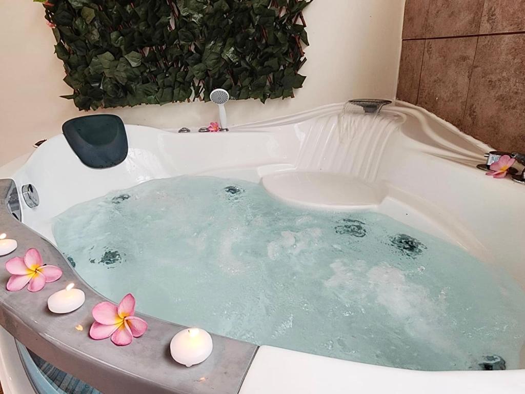 Blue Horizon - Le Fare Ra'i - Jacuzzi - Garden - photo 9 - Tahiti, Polynésie