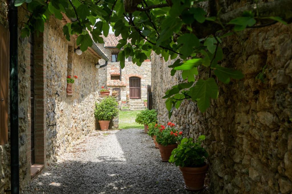 Zahrada ubytování Agriturismo Colli di Travale