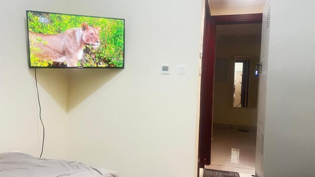 TV a/nebo společenská místnost v ubytování Rest House Hostel