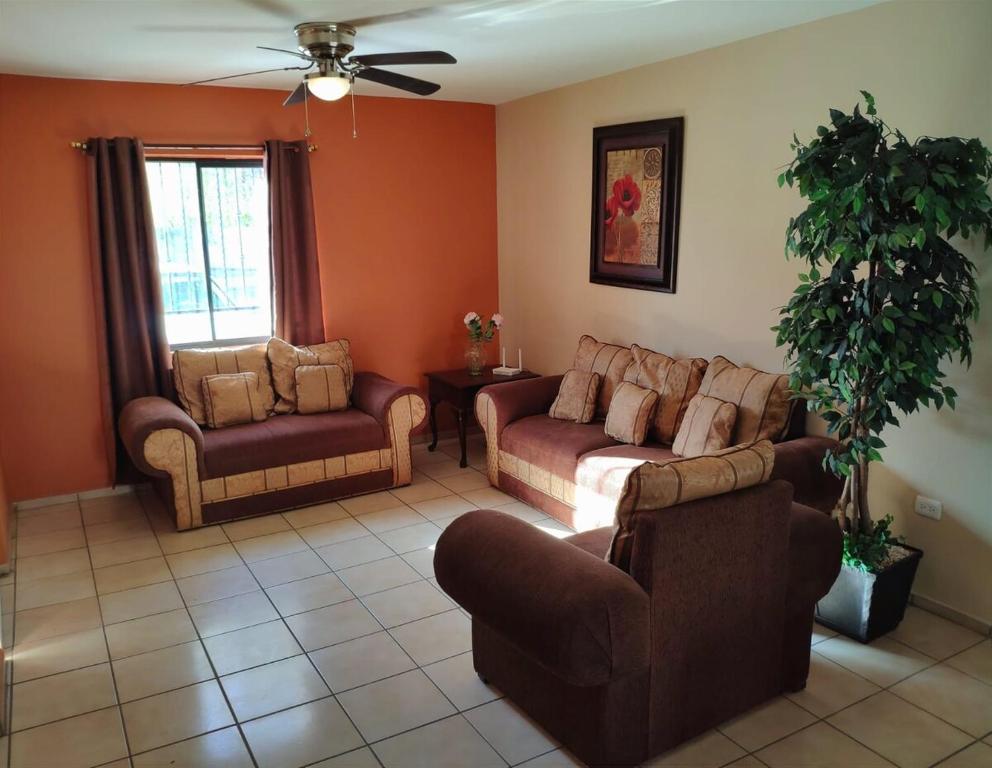 a living room with two couches and a plant at Casa céntrica--zona vado del rio in Hermosillo