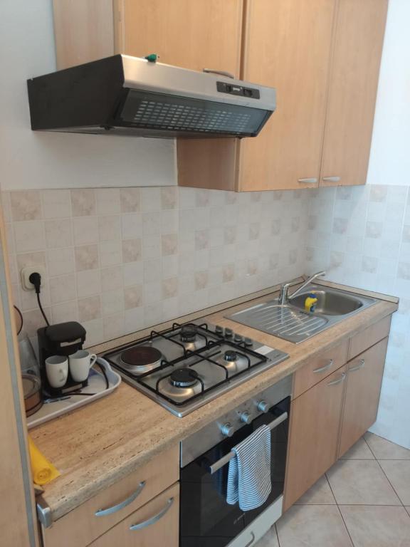 Kuchyňa alebo kuchynka v ubytovaní Apartmani Dubravko