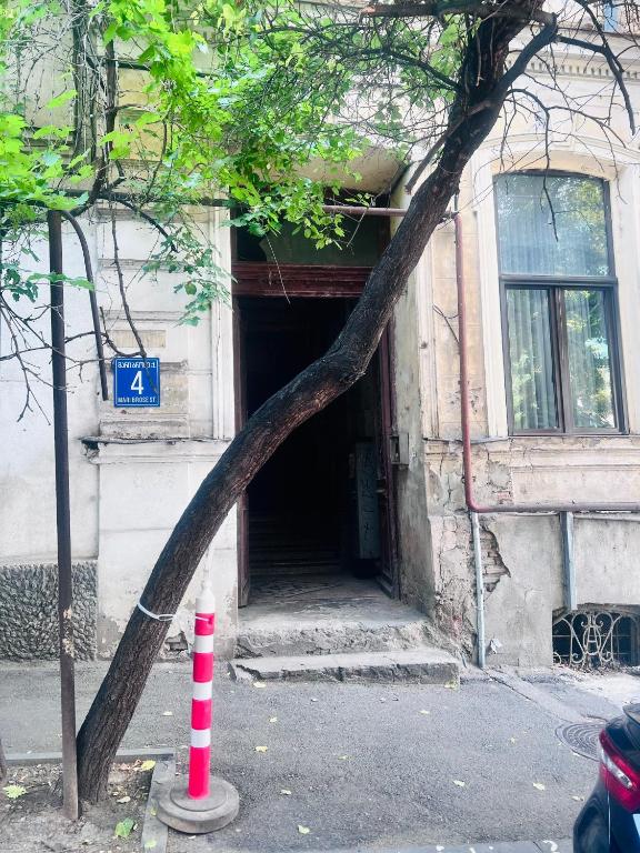 فضای داخلی Opera Appartment 1 در تفلیس - تصویر ۳