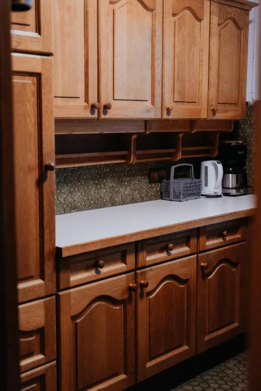 Kuchyňa alebo kuchynka v ubytovaní Appartement Zentrum