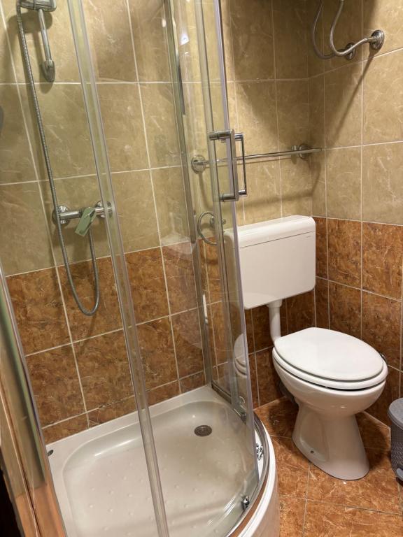Koupelna v ubytování APARTMAN ROSA