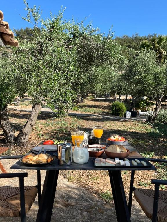 Zahrada ubytování The Olive Grove Villas with swimming pool and breakfast