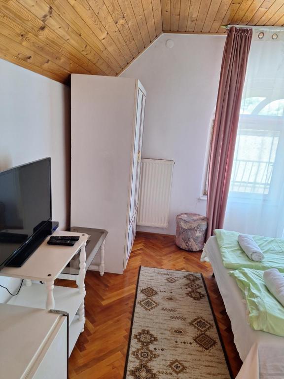 TV a/nebo společenská místnost v ubytování Magyar Csárda és Vendégház