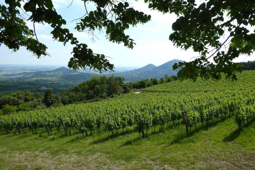 Táj a villa közelében