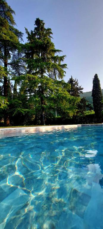 Villa Carrara Salvadori