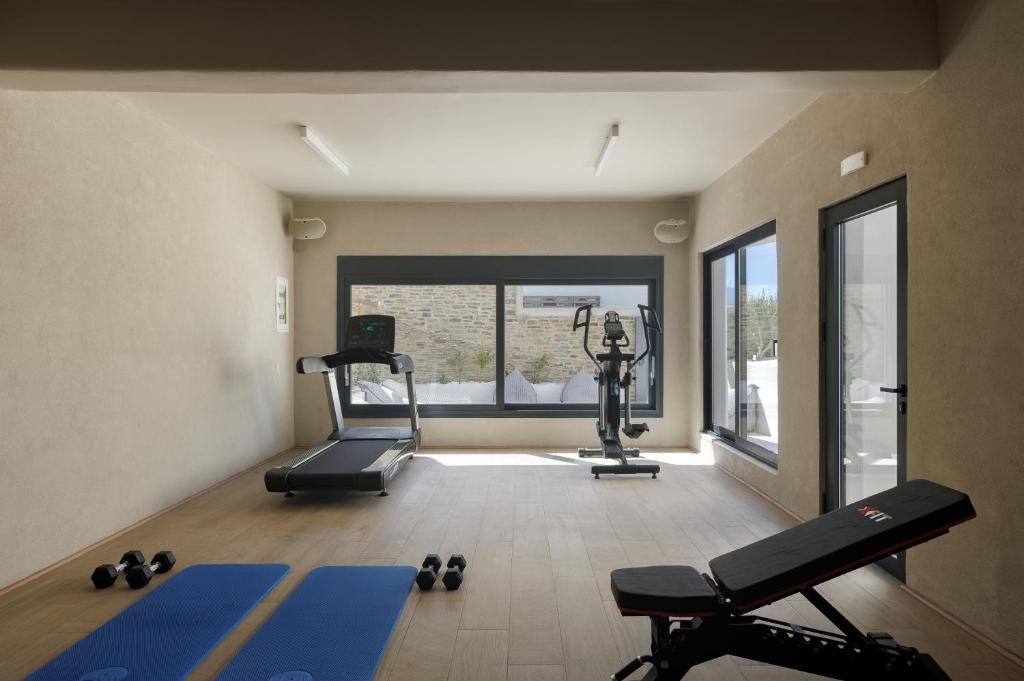 Fitness centrum a/nebo fitness zařízení v ubytování Infinity View Hotel Tinos
