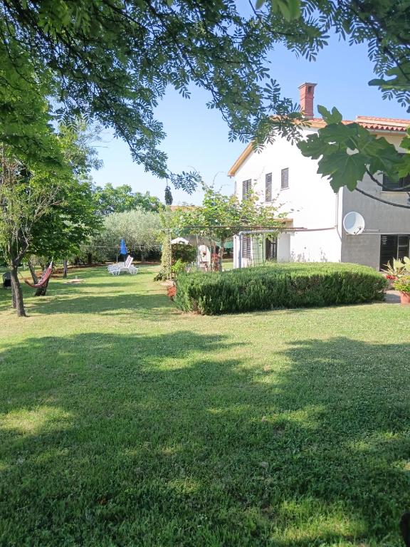 Zahrada ubytování Apartment Greta