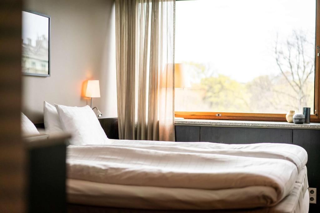 Scandic Anglais - Resim 31