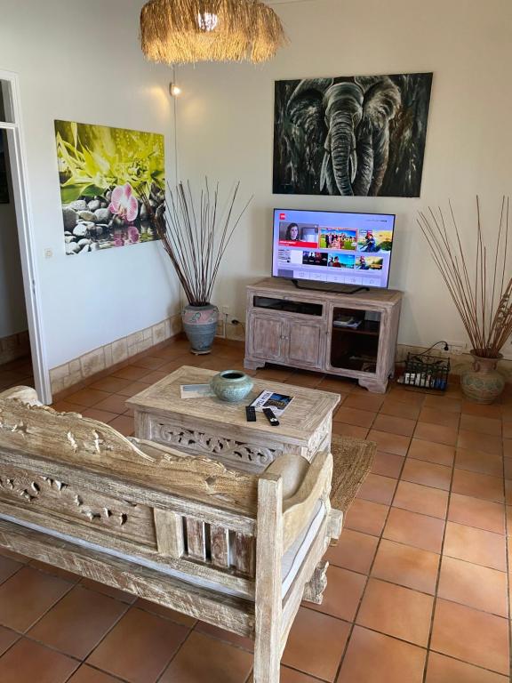 TV a/nebo společenská místnost v ubytování VILLA Tsara