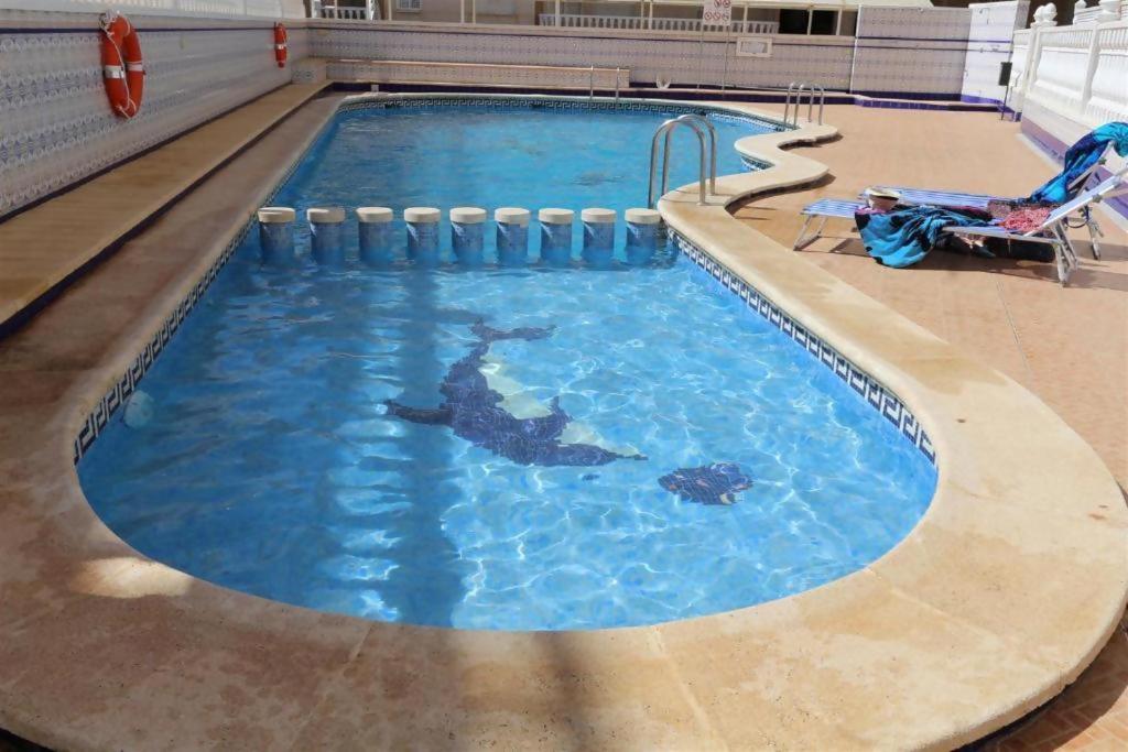 Bazén v ubytování R-5080 La Mata Apartment nebo v jeho okolí