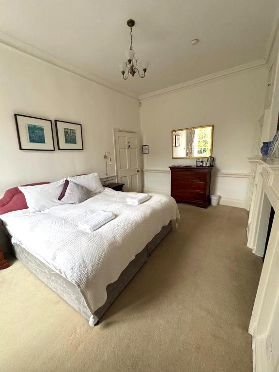 a bedroom with a large bed and a fireplace at East Pallant Bed and Breakfast, Located in Large Georgian Townhouse in Central Chichester in Chichester