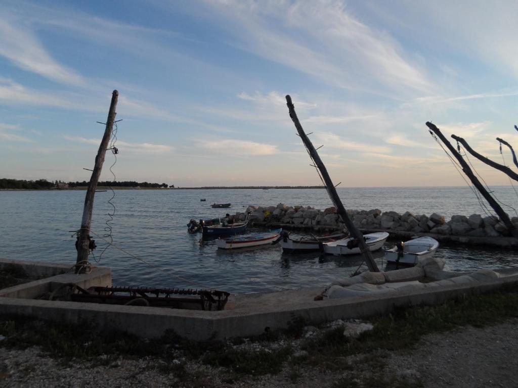 Fotografie z fotogalerie ubytování Apartments Grahovac v destinaci Umag
