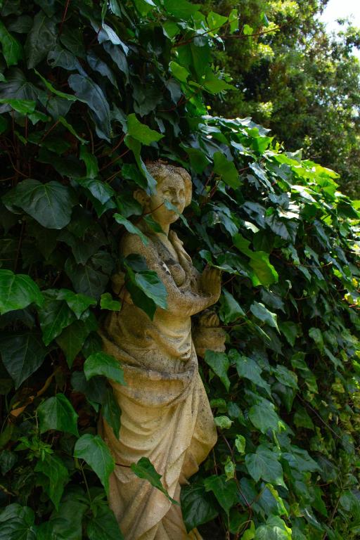 Zahrada ubytování Caligo B&B stanza privata in villa d'epoca con giardino e vista mare