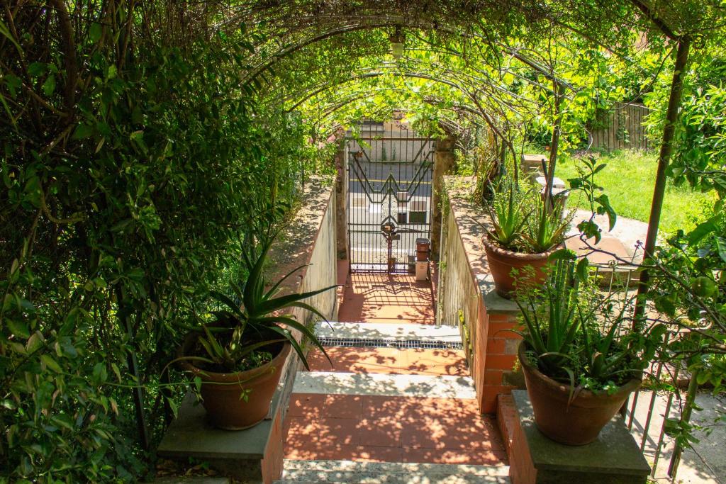Zahrada ubytování Caligo B&B stanza privata in villa d'epoca con giardino e vista mare