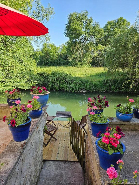 un groupe de plantes en pot sur un pont avec une rivière dans l'établissement Les Reflets de l 'Indre, à Loches