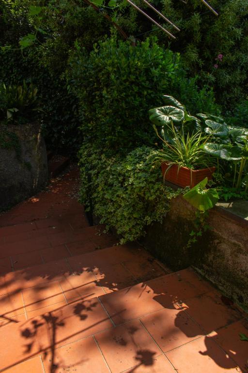 Zahrada ubytování Caligo B&B stanza privata in villa d'epoca con giardino e vista mare
