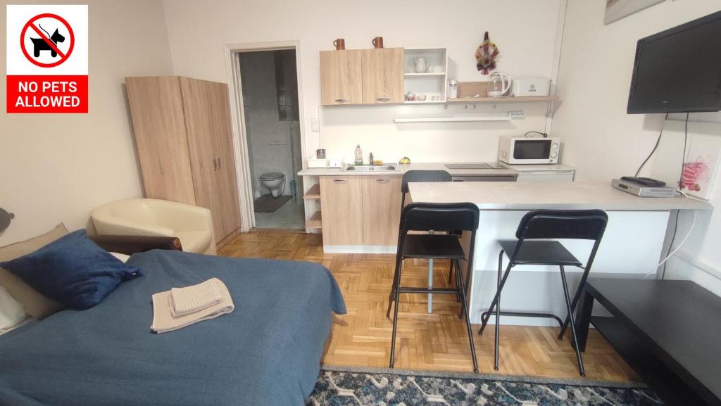 Kuchyň nebo kuchyňský kout v ubytování Le Rose Suites & Park Hotel