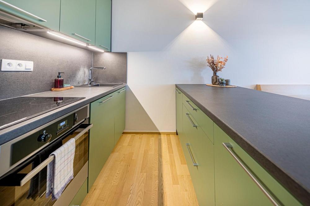 Kuchyň nebo kuchyňský kout v ubytování Dovolená bez starostí - Apartmán u Venuše