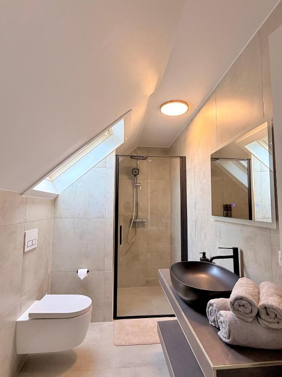 a bathroom with a shower and a toilet and a sink at Ferienwohnung DanVie in Varel