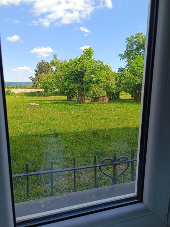 Příroda nedaleko prázdninového domu