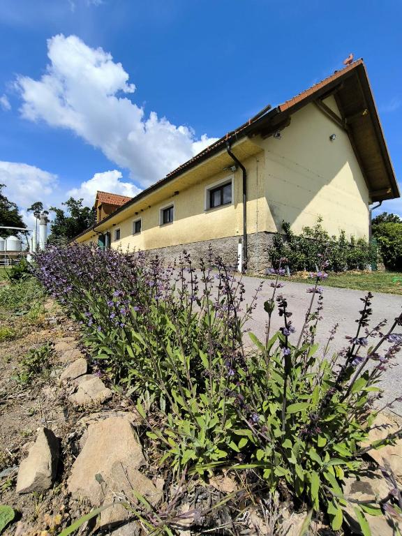 Zahrada ubytování Zámeček nad Běleckým Mlýnem