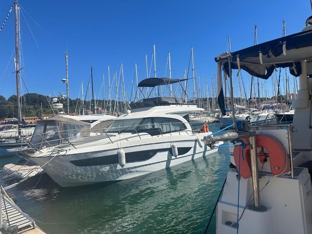un groupe de bateaux amarrés dans un port dans l'établissement Hébergement bateau à quai, à Saint-Mandrier-sur-Mer