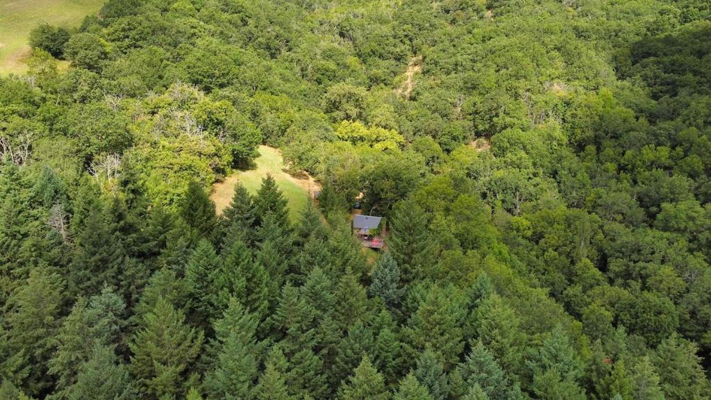 une vue aérienne d'une maison au milieu d'une forêt dans l'établissement La cabane des Raspes, à Montjaux