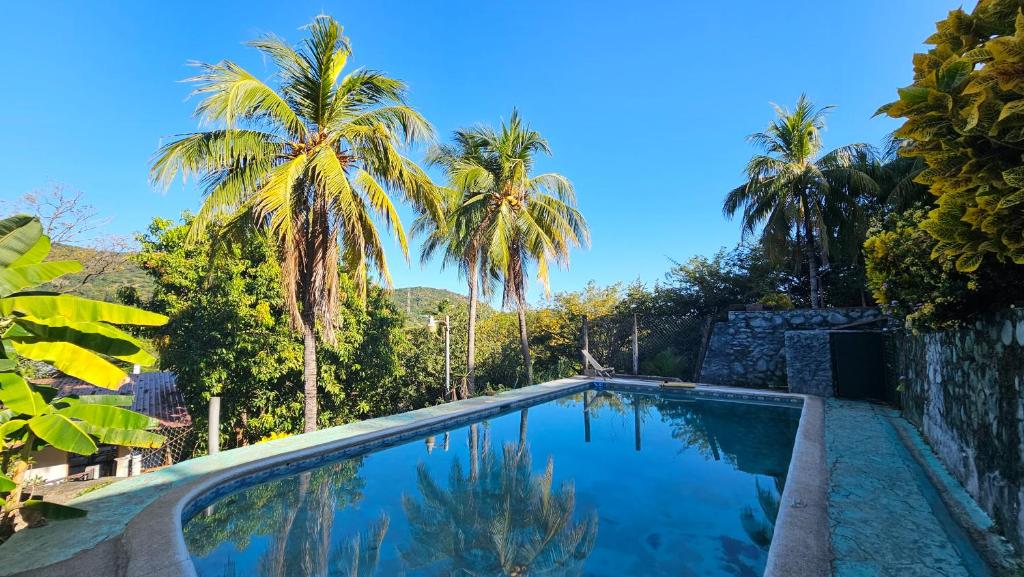 a swimming pool with palm trees in the background at 4 Amigos El Zonte in El Zonte