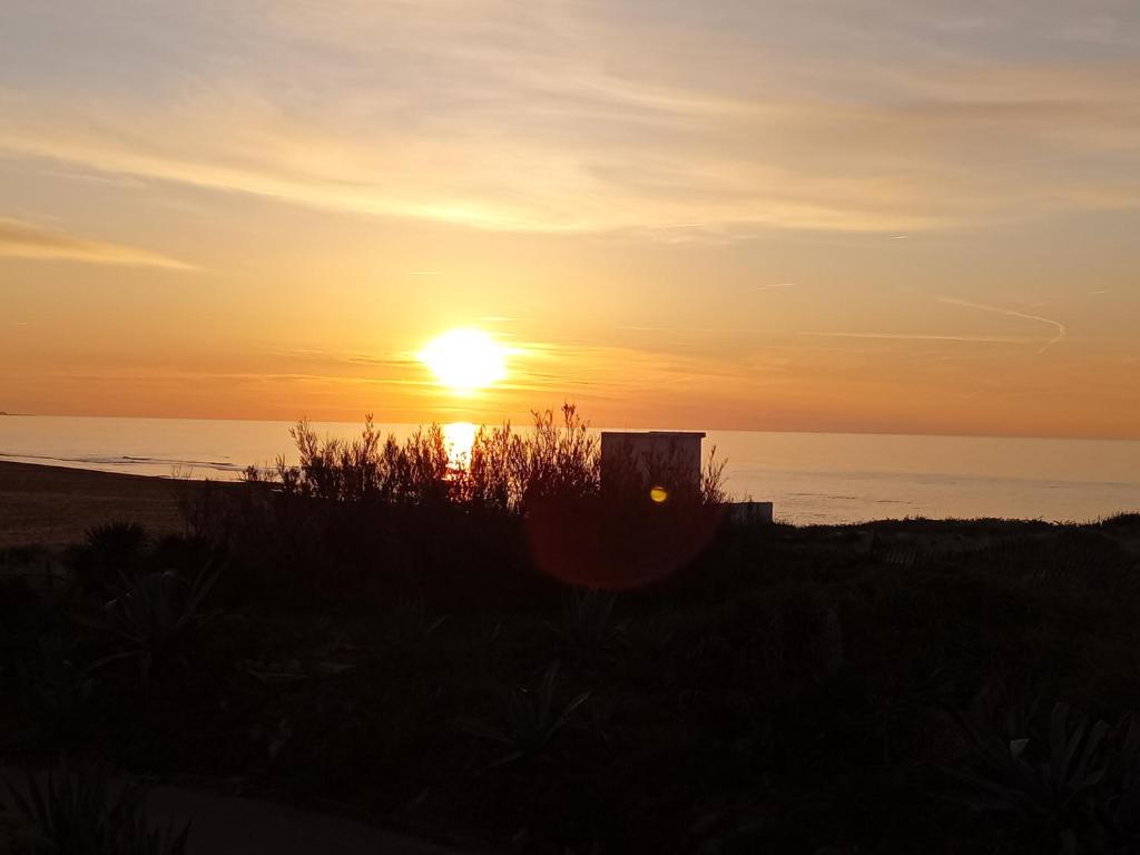 - un coucher de soleil sur la plage dans l'établissement vue meŕ, à Marseillan