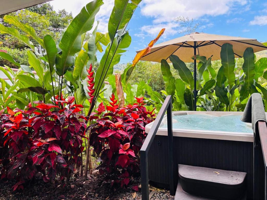 Un jacuzzi con una sombrilla junto a unas plantas. en Orosi al Natural Hotel Boutique, en Orosí