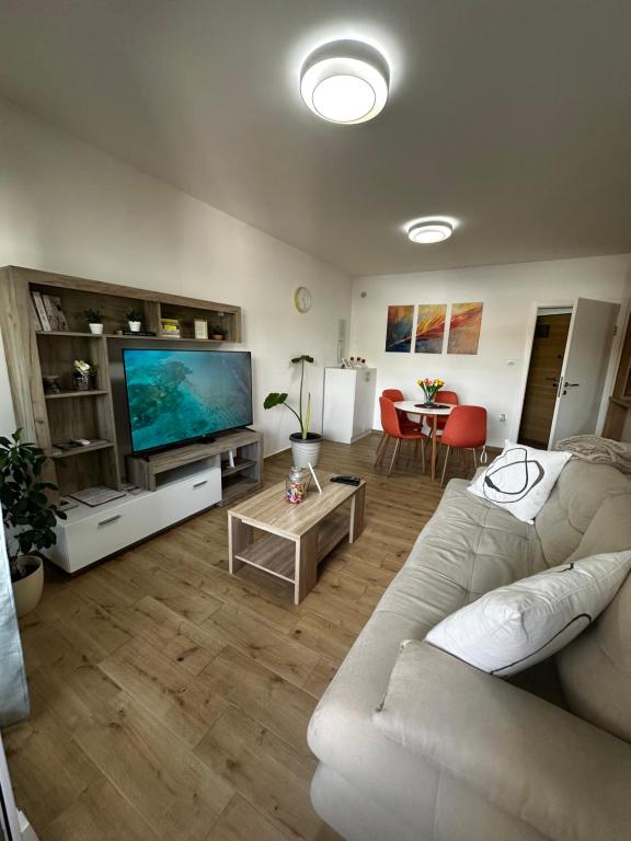 TV i/ili multimedijalni sistem u objektu Apartment Athens