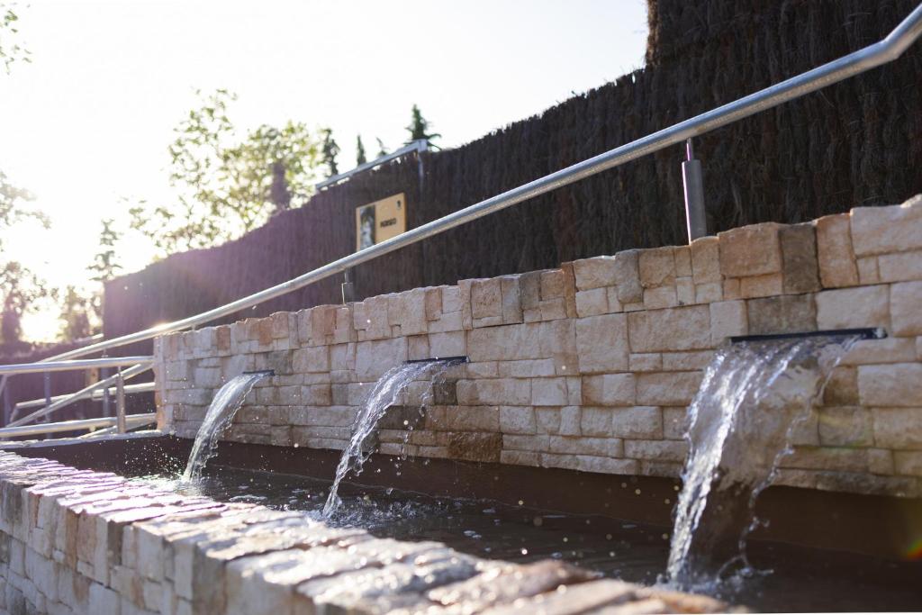 Cazorla Estelar - 19