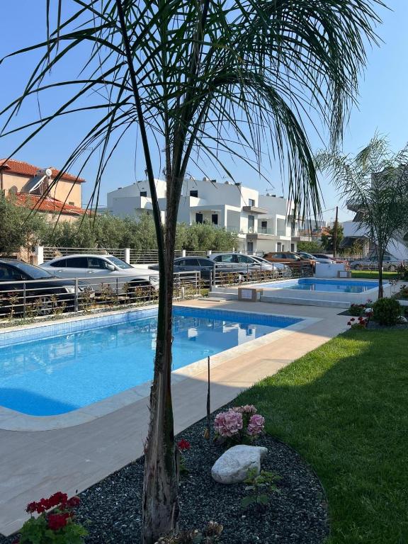 a palm tree sitting next to a swimming pool at Blue Breeze Apart-Danai B in Ofrínion