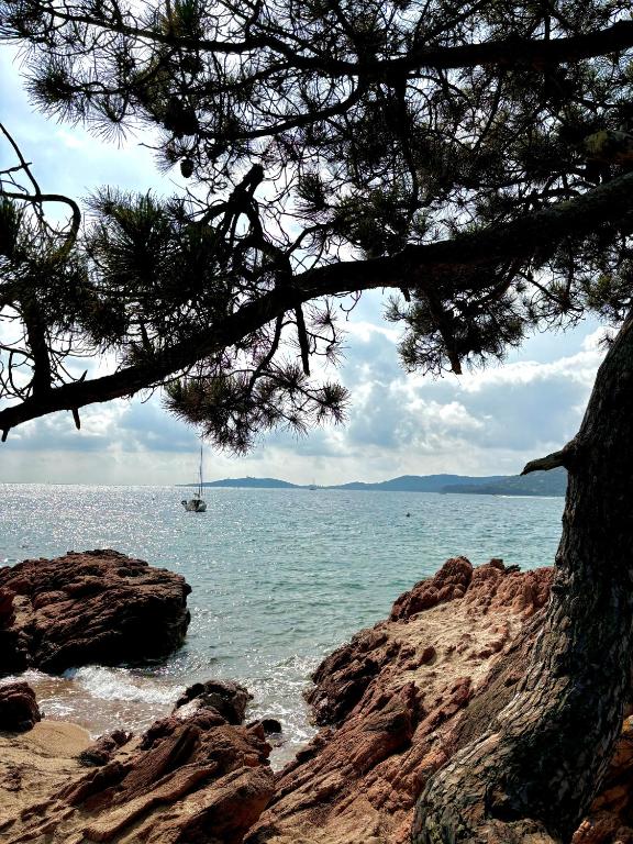 une vue sur l'océan avec un bateau dans l'eau dans l'établissement Les maisons de Benedettu, à Lecci