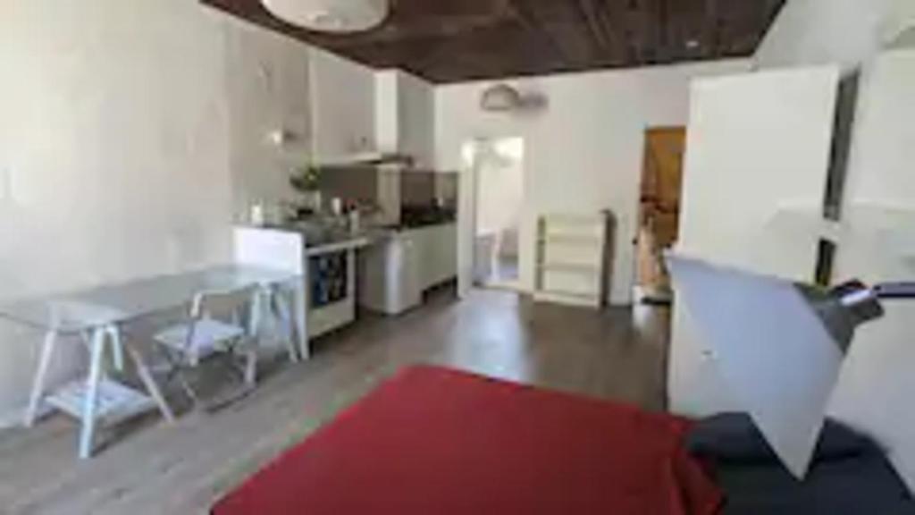 une cuisine avec une table et un tapis rouge dans l'établissement Hypercentre, place Pie studio, à Avignon
