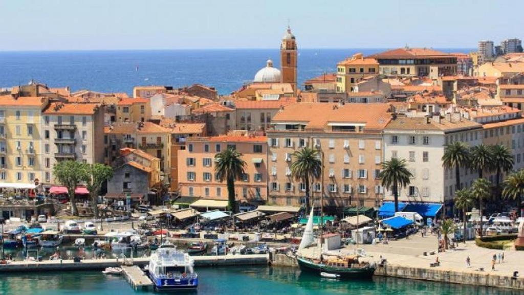une ville avec des bateaux dans l'eau près d'un port dans l'établissement Appartement T3 centre ville, à Ajaccio